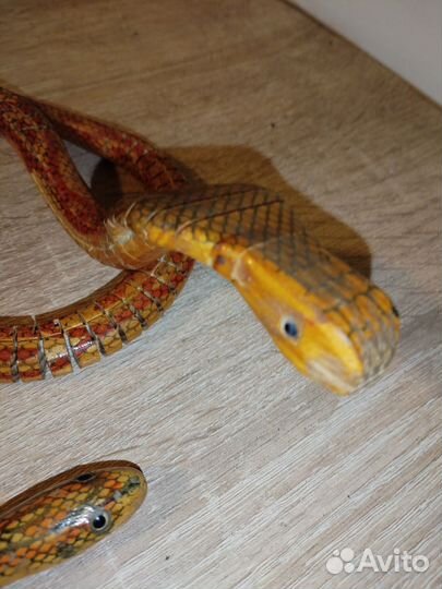 Королевская змея интерьер