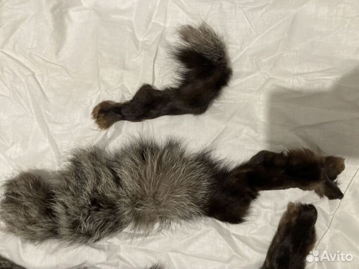 Шкурка лисы чернобурки