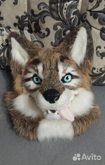 Фурсьют волка