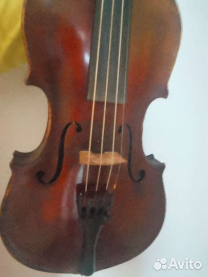 Скрипка 1/2