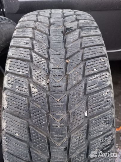 Roadstone Winguard Ice Plus 185/60 R15 88T