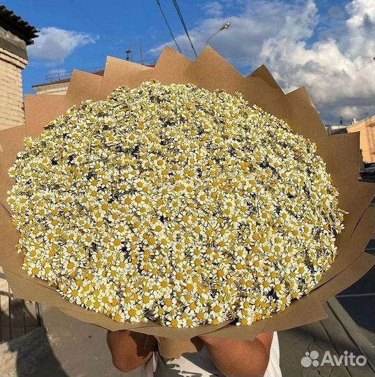 Букеты ромашек