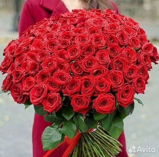 Розы гиганты 140 150 160 170 180 200