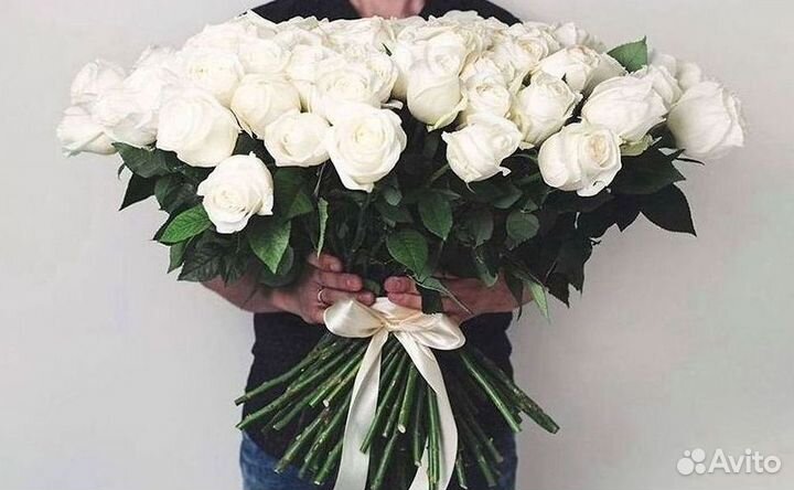 Розы Букеты Цветы Розы 31 101 151 201 Доставка