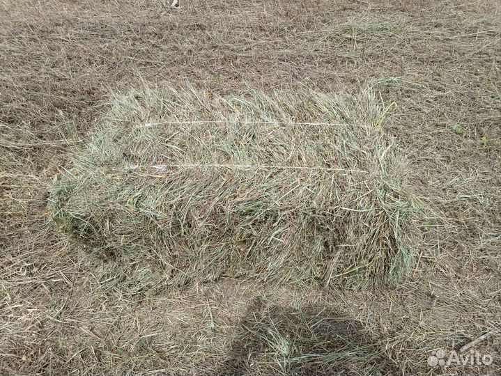Сено разнотравье