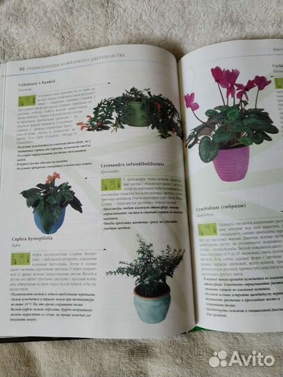 Энциклопедия по цветоводству