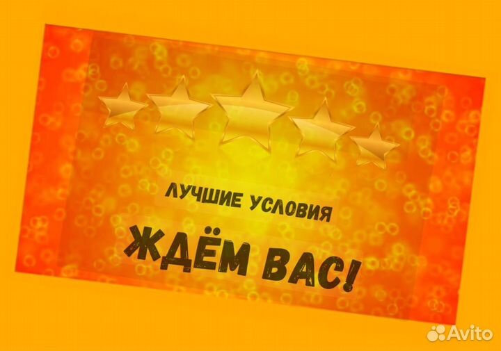 Комплектовщик Спецодежда Еженедельный аванс М/Ж