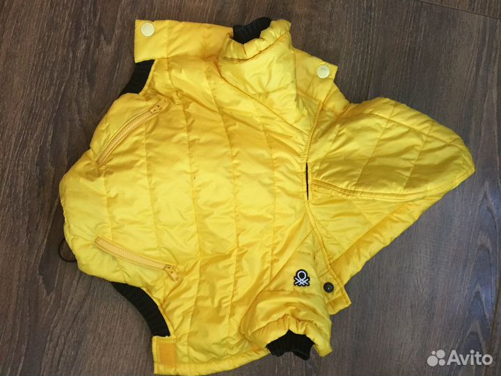 Одежда для собак