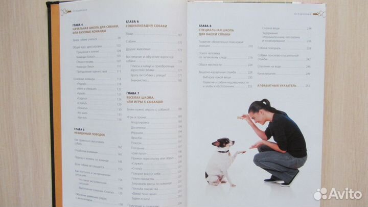 Дрессировка и воспитание собаки