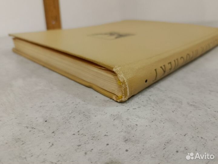 Сомина Р.А. Невский проспект