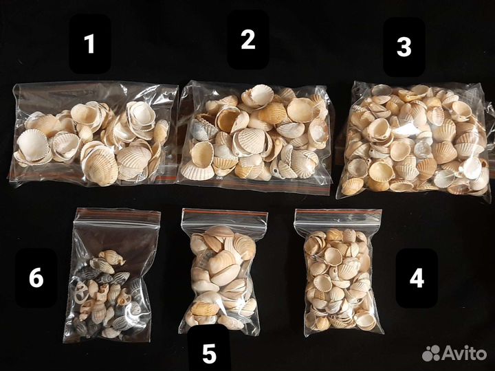 Ракушки морские,наборы д аквариума д творчества