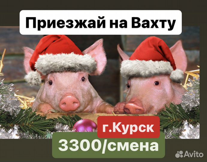 Мясной цех вахта грузчик на мясокомбинате