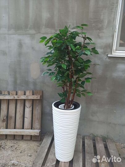 Монстера Альба искуственная. Искуственные деревья