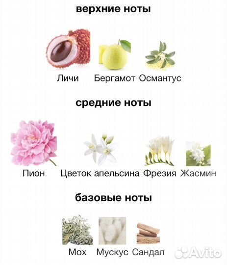 Ex nihilo fleur narcotique extrait 100мл