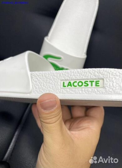 Сланцы lacoste