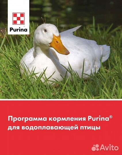 Комбикорм Пурина для водоплавающей птицы Финишер