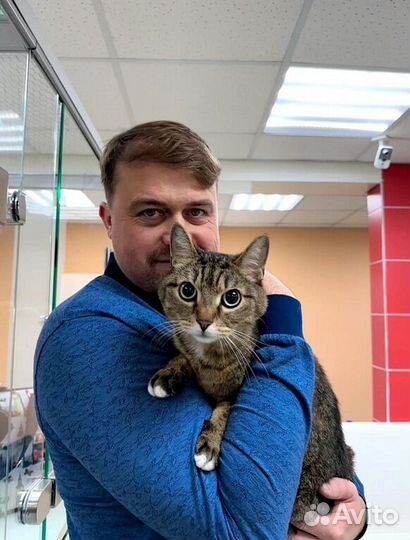 Готовый бизнес отель для животных