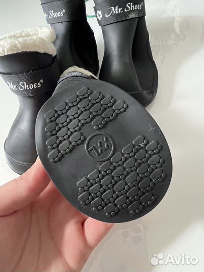 Сапожки для собак