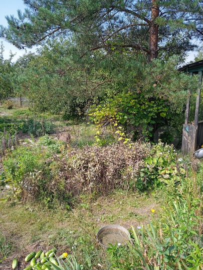 Дача 10 м² на участке 7 сот.