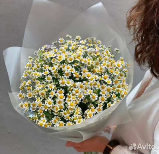Букеты из ромашек