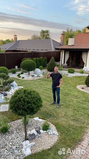 Рулонный газон