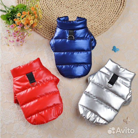 Одежда и обувь для собак