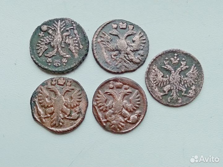 Полушка 1731,34,35,36,49.)