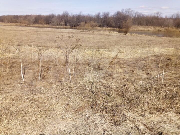 Участок 6,5 сот. (ИЖС)