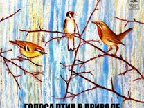 Голоса птиц в природе. Оцифровка пластинок