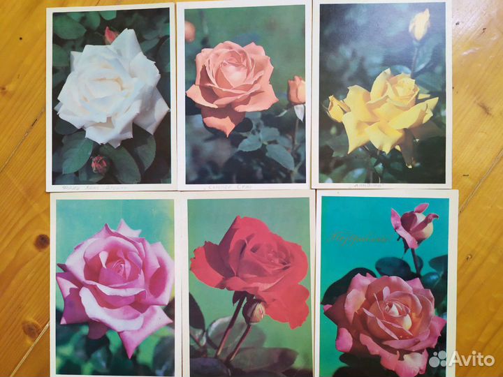 Открытки (СССР) коллекционные