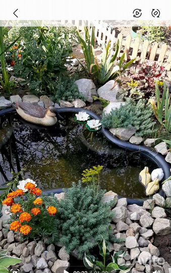 Мини пруд на 135л