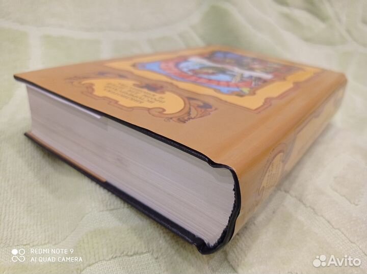 Нидерланды 16 век, Сергиенко, Феличе, Раабе