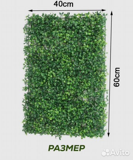 Панели из мха, искусственные растения