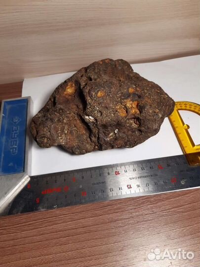 Ископаемое, минерал бурый железняк с ракушками