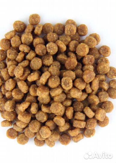 Сухой корм для собак