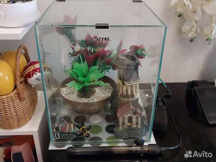 Аквариум Aquael