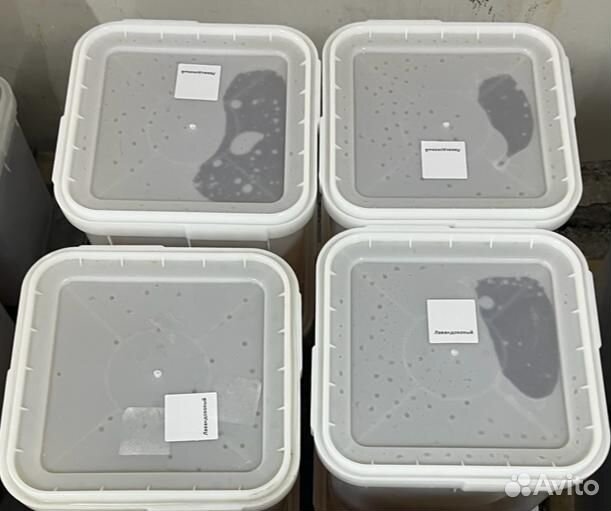 Гречишный мед с Алтая оптом