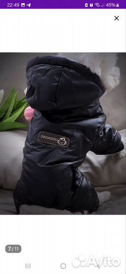 Костюм для щенка