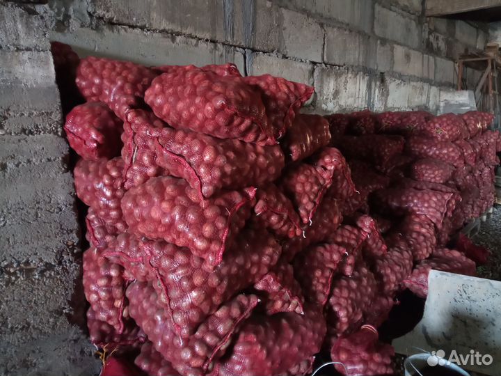 Продам картофель