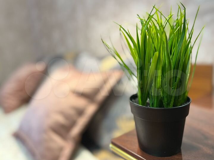 2-к. квартира, 47 м², 2/3 эт.