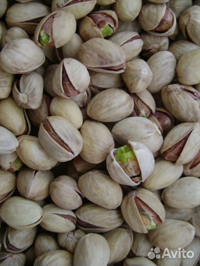 Иранские фисташки, жареные, Опт