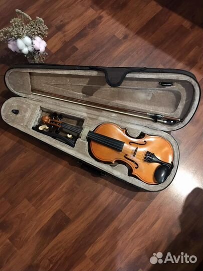 Скрипка 3/4