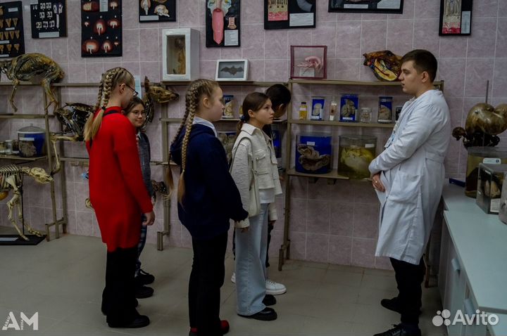 Репетитор по биологии