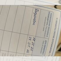 Доберман, щенок