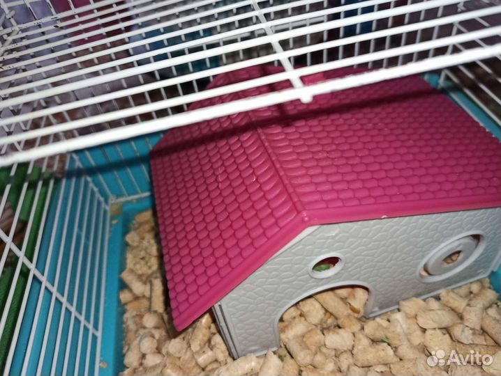 Клетка для грызунов