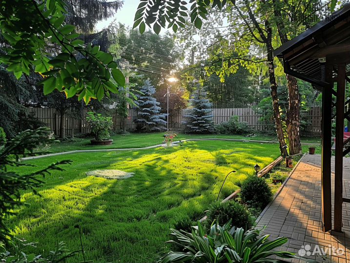 Газон премиум