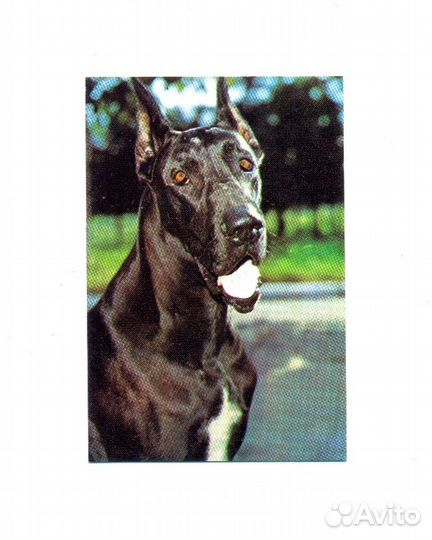 Коллекция карманных календариков 60-90 г. XX Век