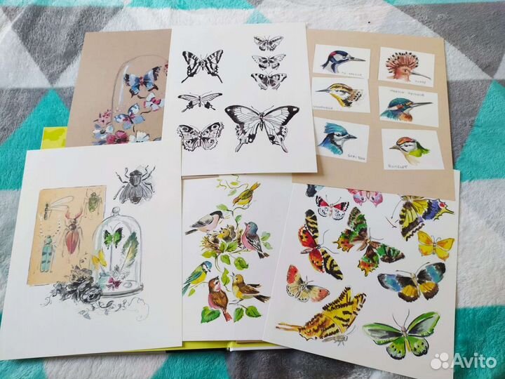 Книга птицы, бабочки, насекомые от Вероник Ажинер