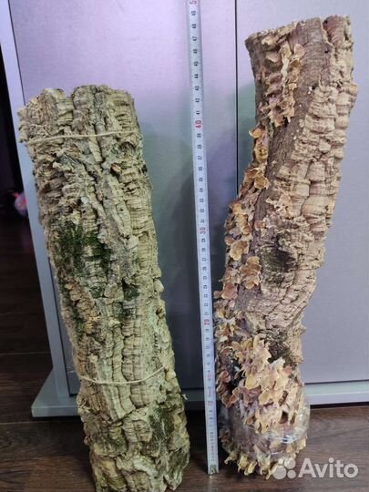 Кора пробкового дуба