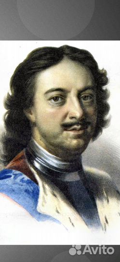 Проект по истории Пётр 1 царь реформатор + през